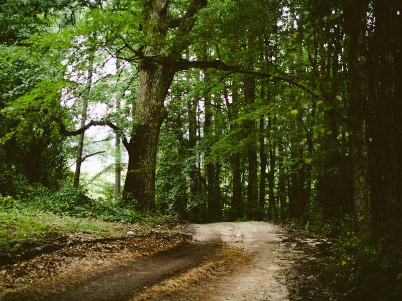 partners screenshot 5