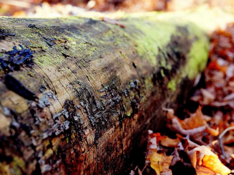 partners screenshot 6